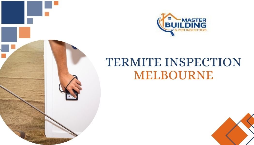 Termite inspection Melbourne: what every homeowner should know