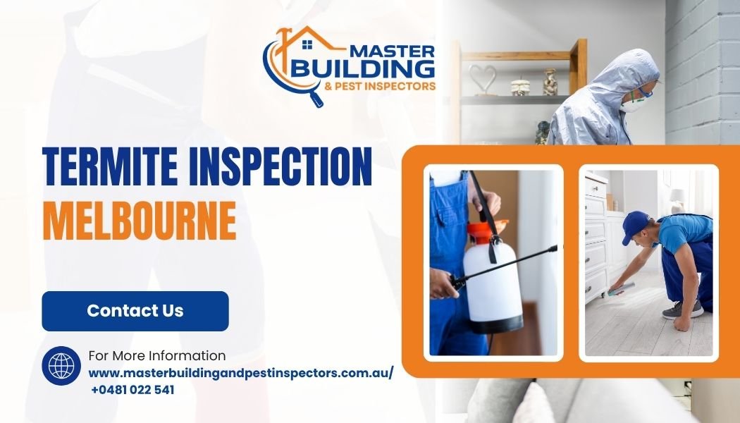 Protect Your Investment: Termite Inspection Melbourne and Home Building Inspections