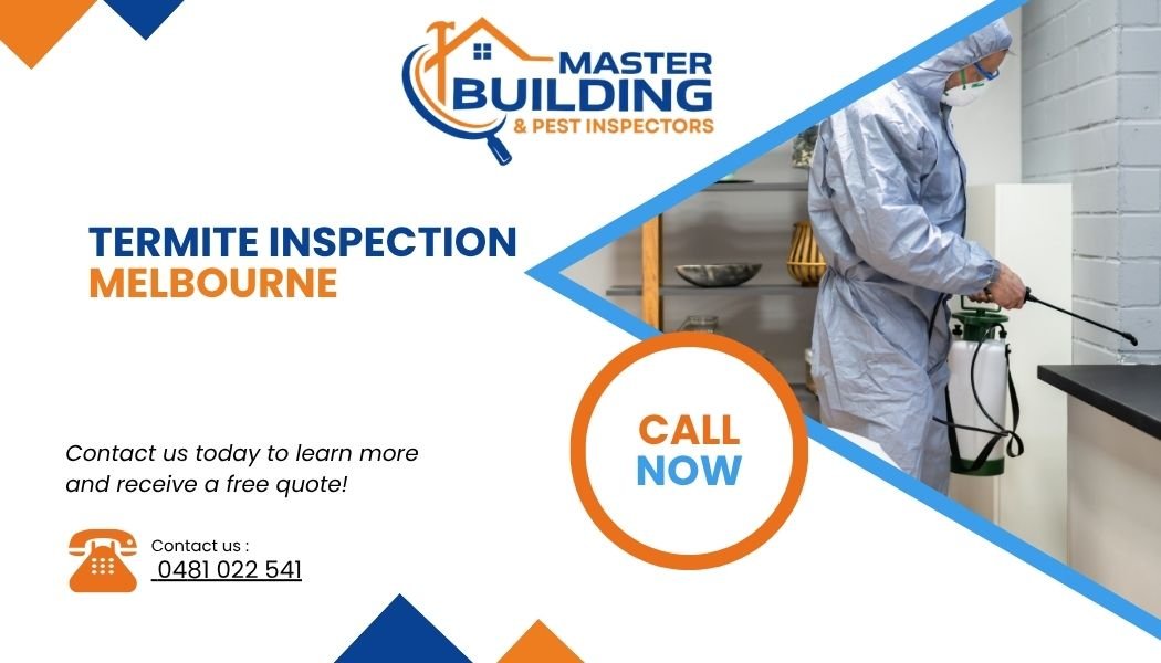 Termite Inspection Melbourne: The Questions Every Homebuyer Should Ask